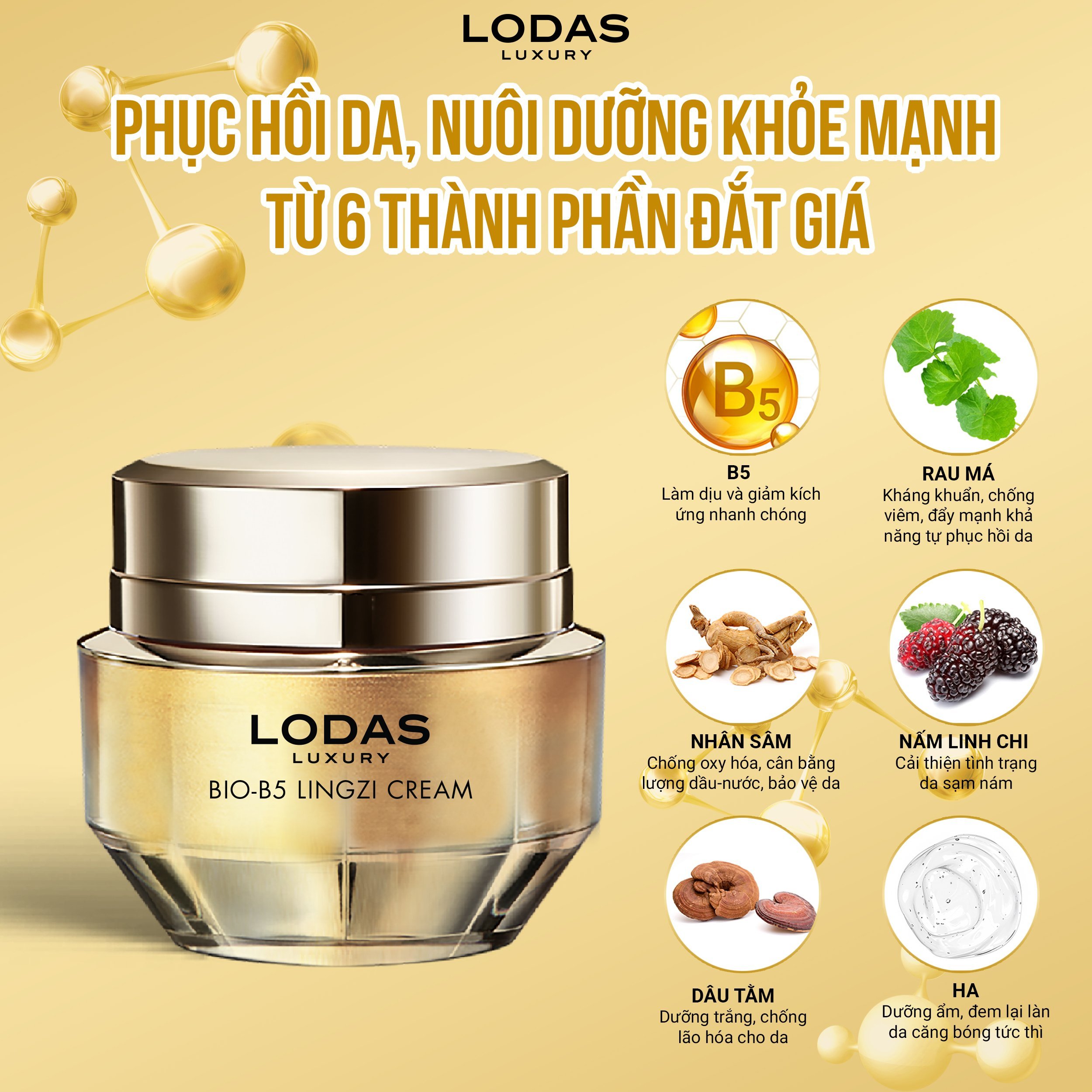 Kem face phục hồi Bio-B5 Lodas Đan Thy